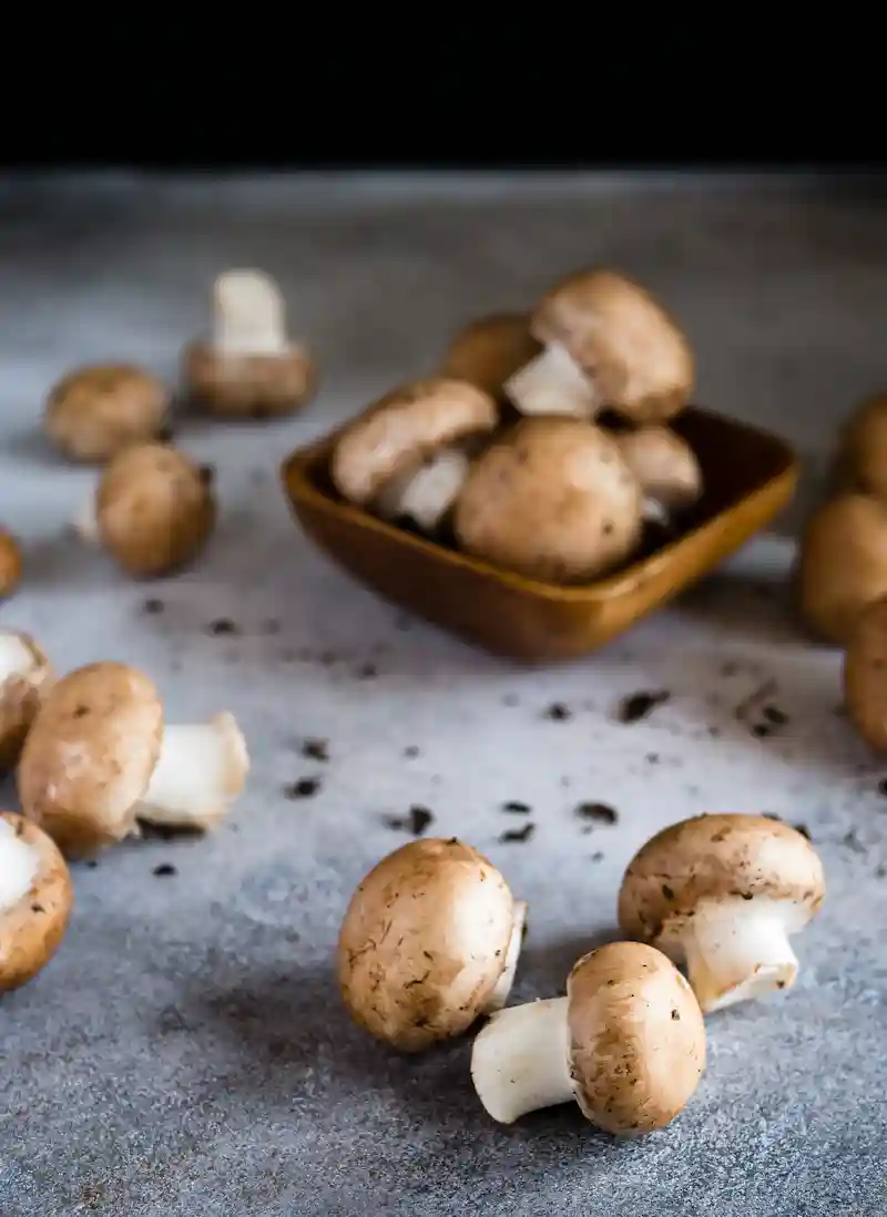 Champignons comestibles cueillis en forêt dans les Pyrénées - cèpes et girolles dans un panier