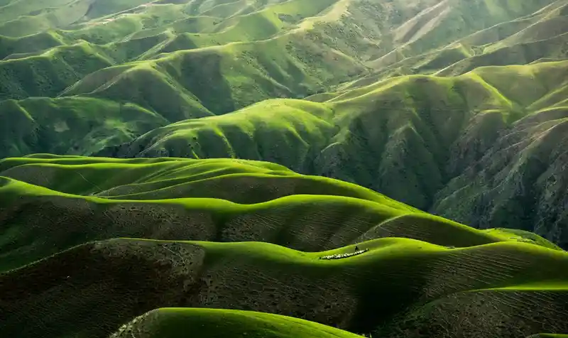 Paysage de montagne verdoyant illustrant la réduction de l'empreinte carbone en randonnée