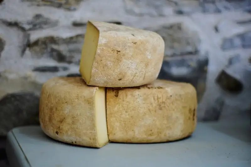 Fromages des Pyrénées AOP - meules de fromage artisanal de montagne