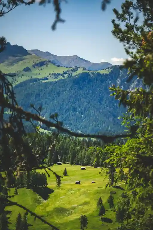 Vallee verdoyante entouree de montagnes en ete