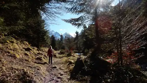 Paysage montagneux du Parc national des Pyrénées avec sommets enneigés et vallées verdoyantes