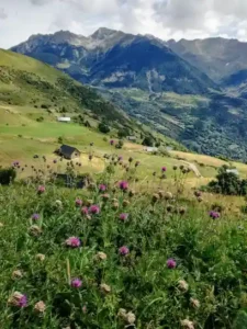 Plateau de Saugue avec vue panoramique sur le cirque de Gavarnie dans les Pyrenees