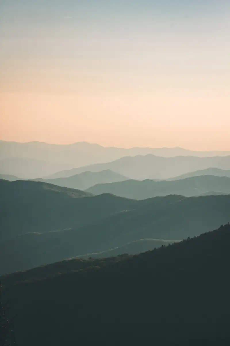 Vallee de montagne avec prairies verdoyantes et sommets enneiges dans les Pyrenees